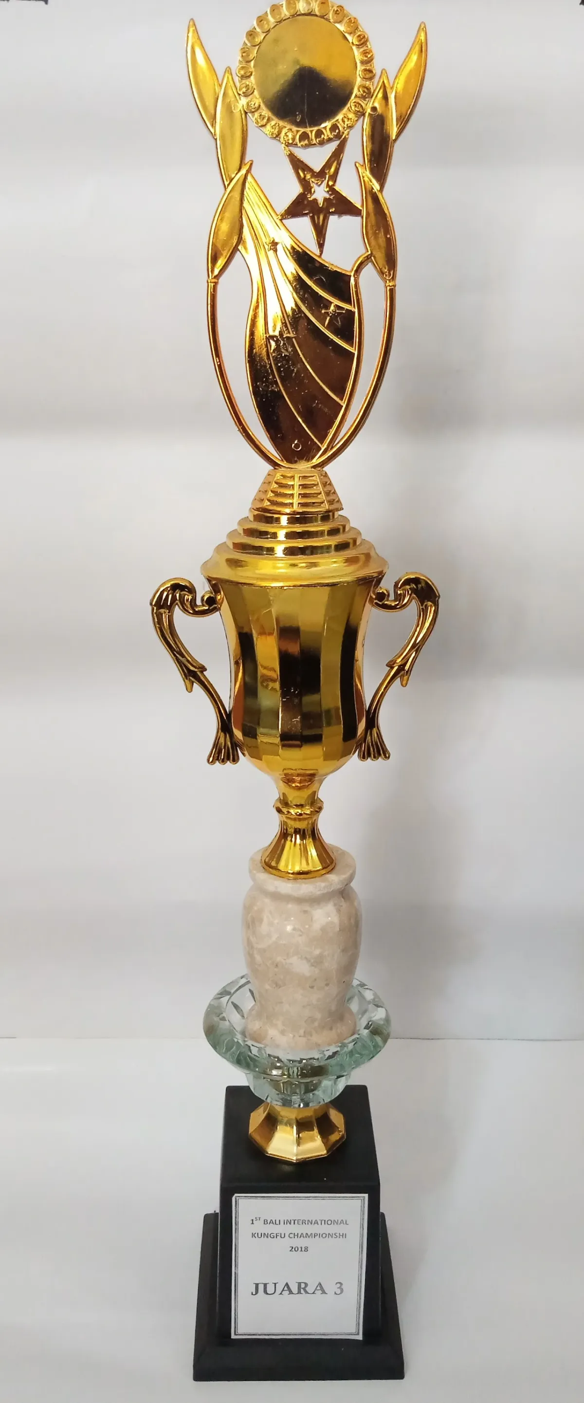 2018 - JUARA 3 LOMBA KUNG FU CHAMPIONSHIP BALI TINGKAT INTERNASIONAL 