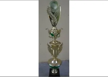 2017 - JUARA 1 LOMBA FOTOGRAFI MODEL INDOOR TINGKAT KABUPATEN JOMBANG