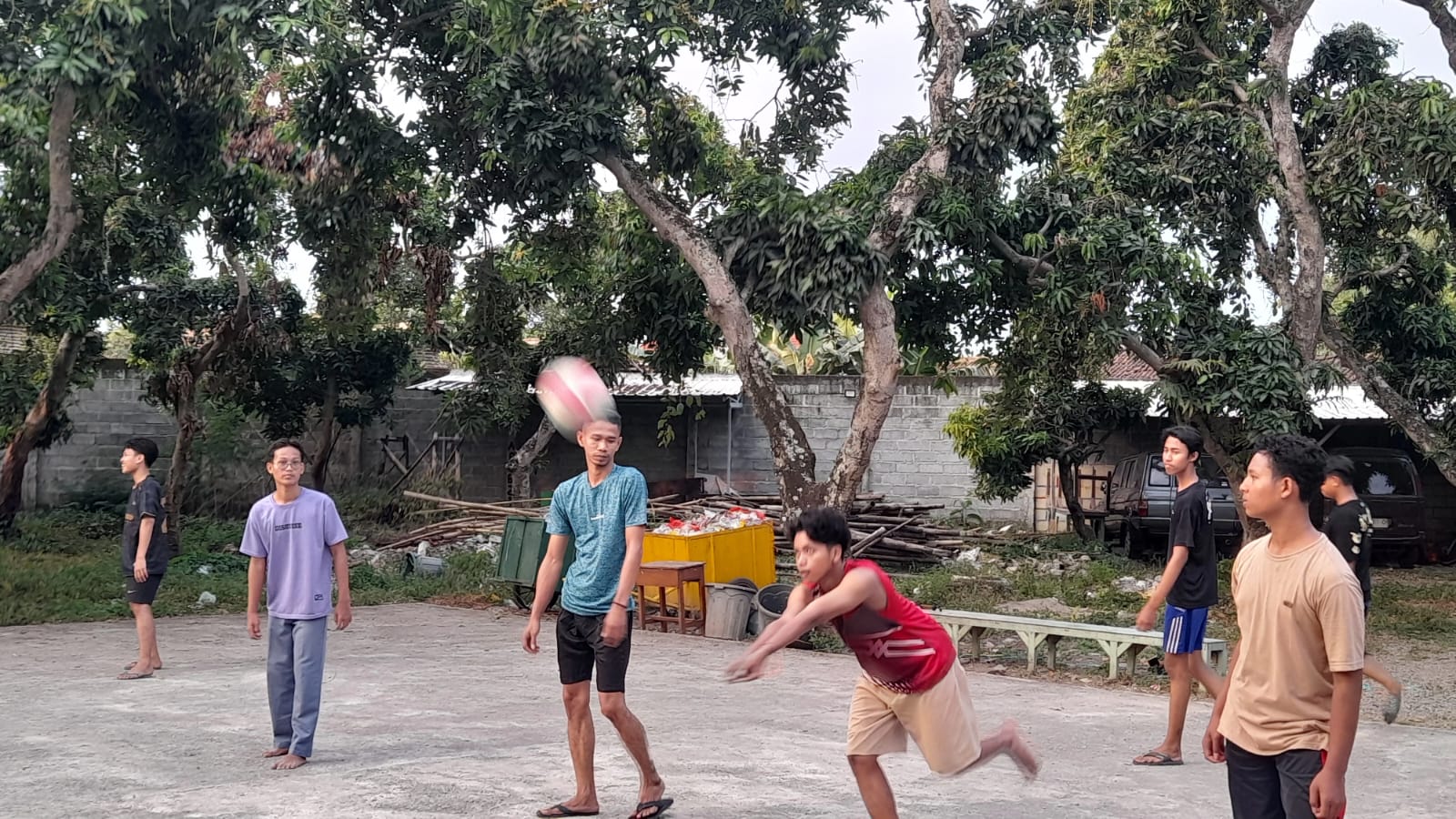 Volly