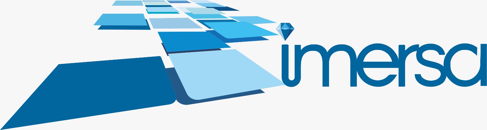 IMERSA ACADEMY